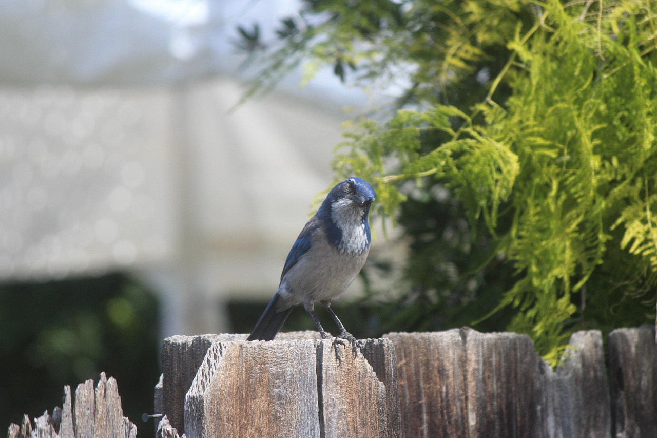 臺州天盛中心最新動態(tài)更新報告