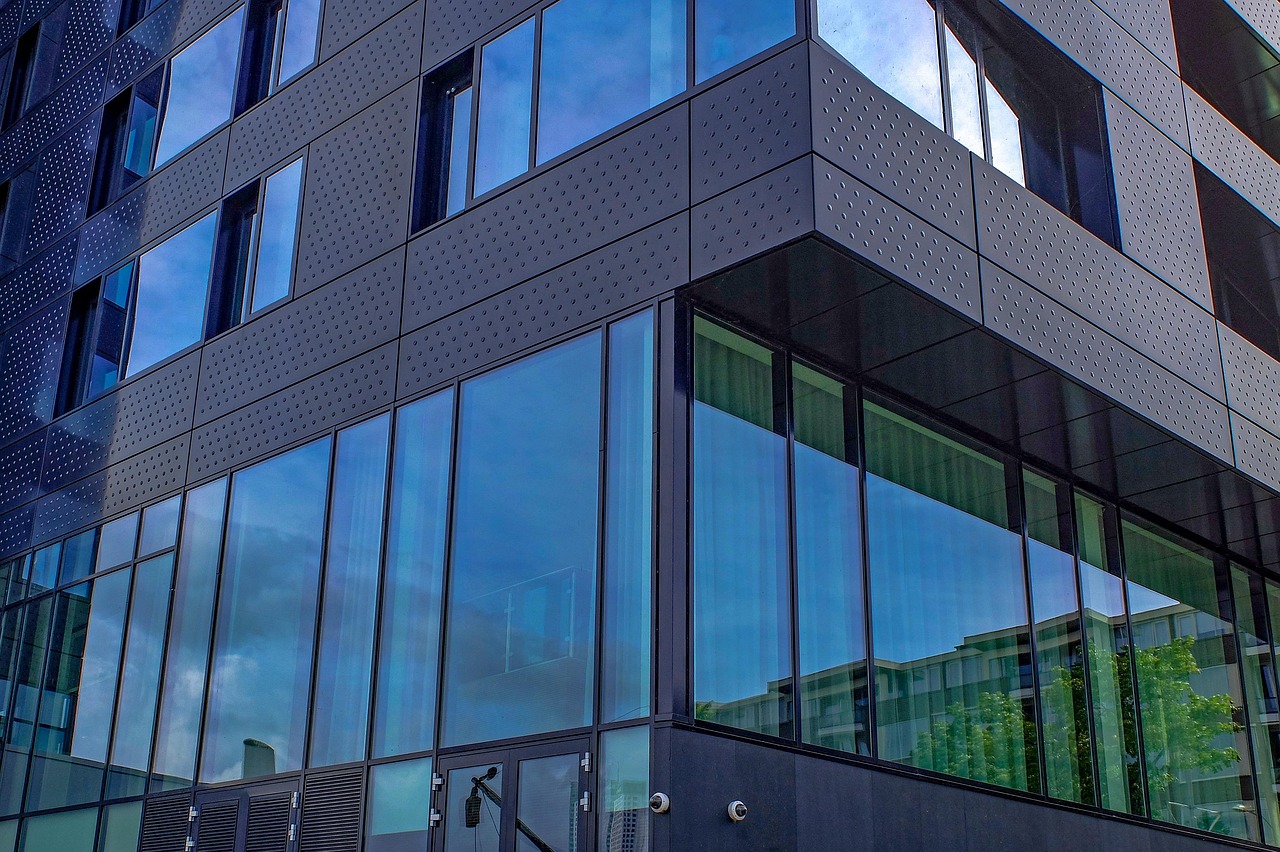 暮夏那年開 第34頁