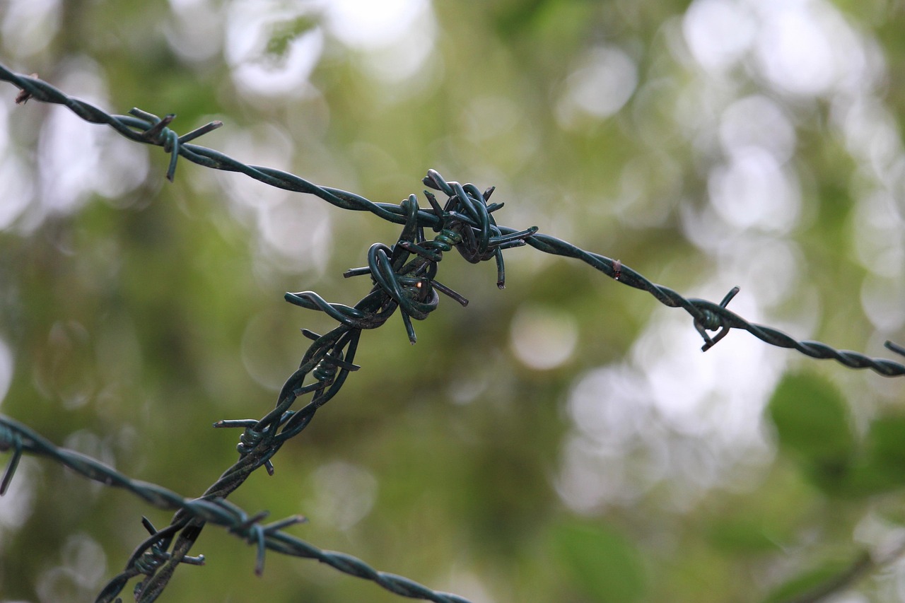 全國醫(yī)保聯(lián)網(wǎng)最新動態(tài)，構(gòu)建無縫醫(yī)療保障體系