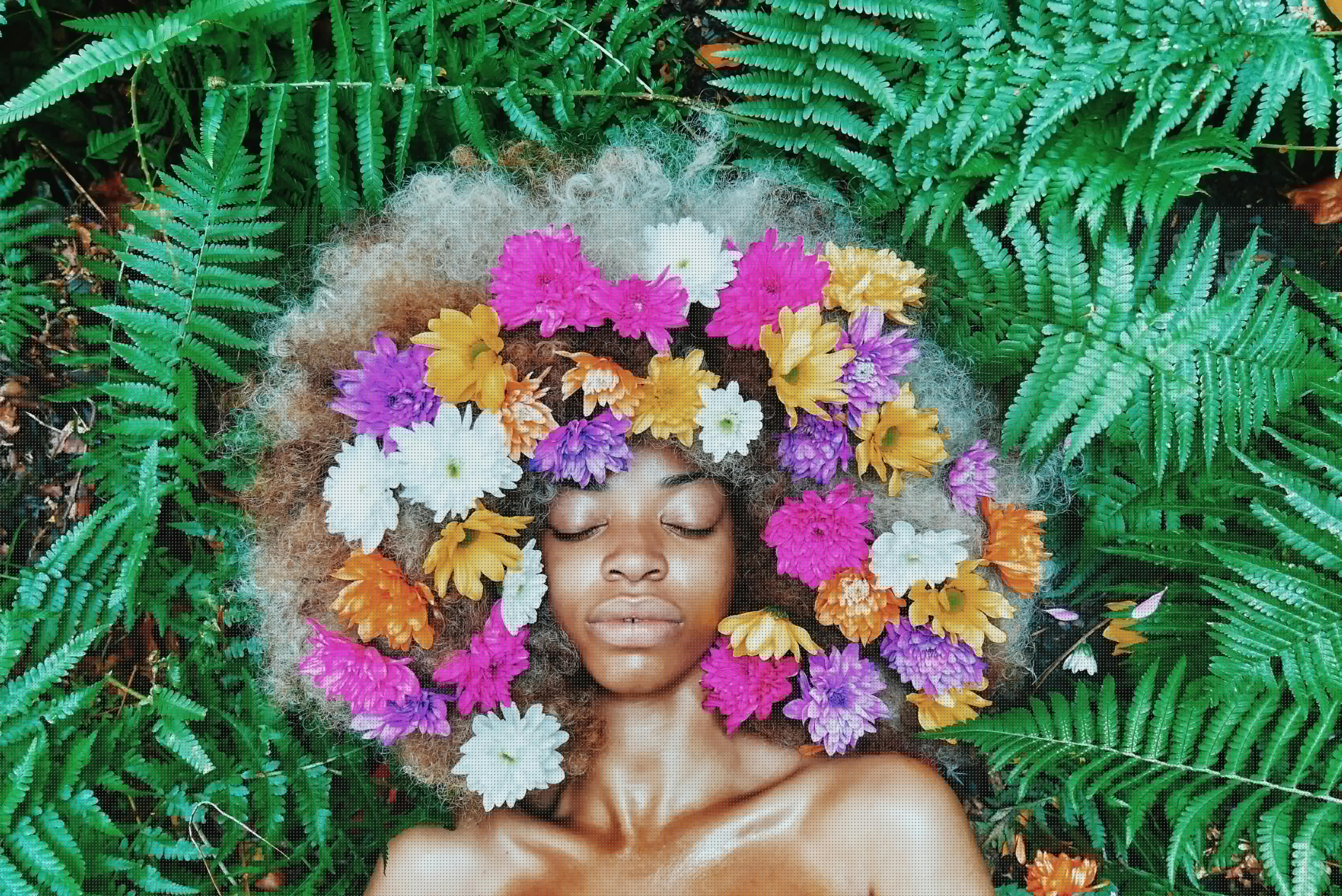 顧集省道最新動態(tài)，進(jìn)展、影響與展望