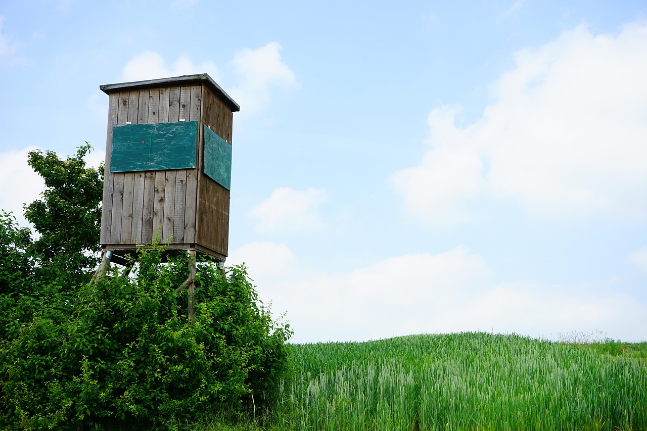 武漢鳳凰塔建設(shè)進(jìn)展、最新動態(tài)與未來展望