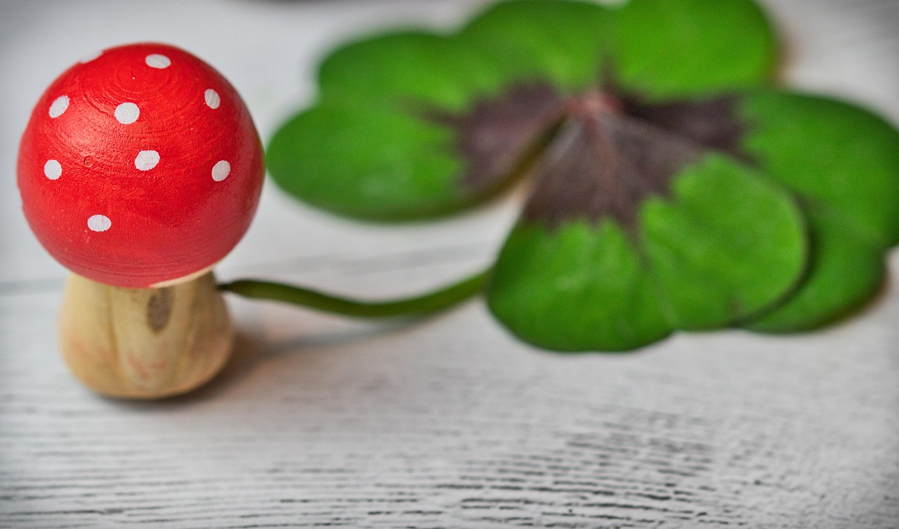 白敬亭展現(xiàn)多元魅力，近期動態(tài)引粉絲期待新篇章