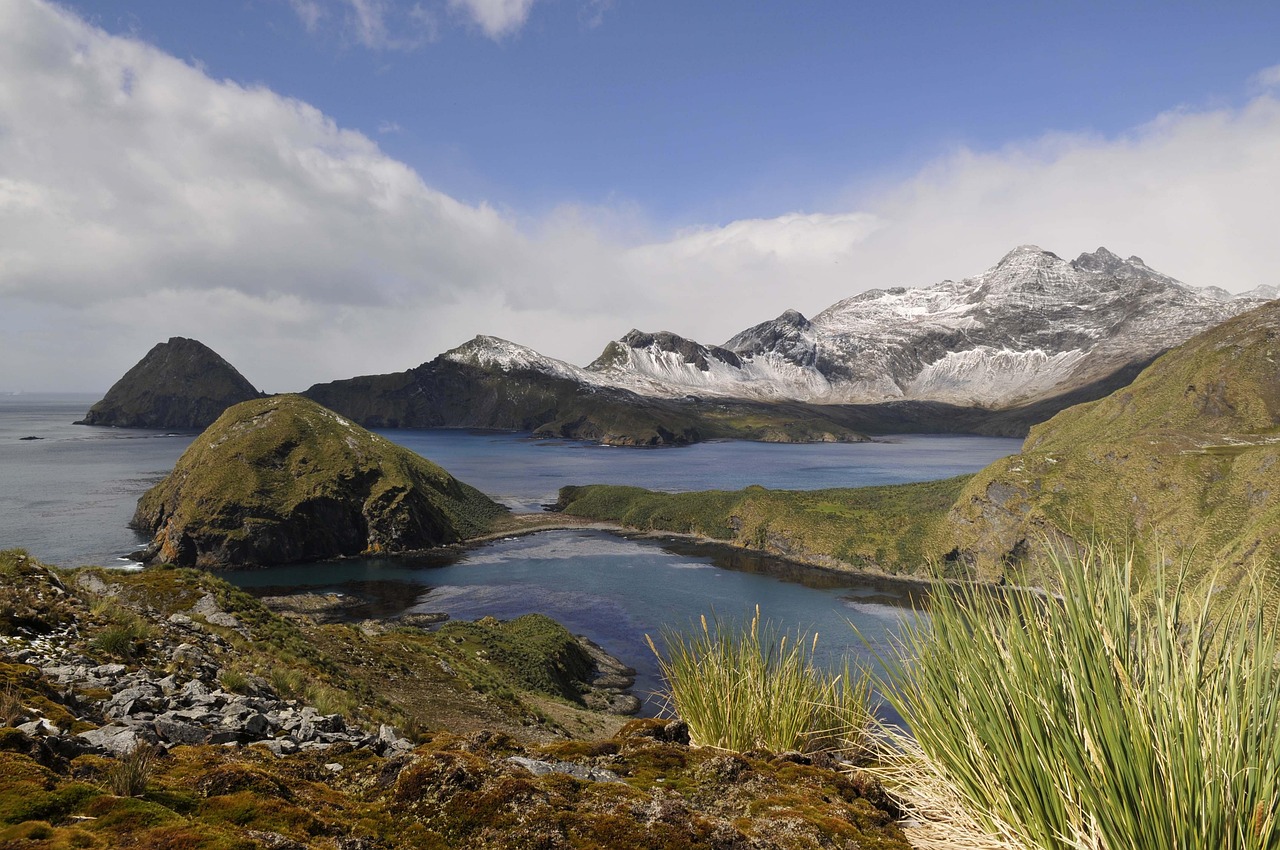 呼和浩特最新干部公告發(fā)布，人事調(diào)整動態(tài)更新