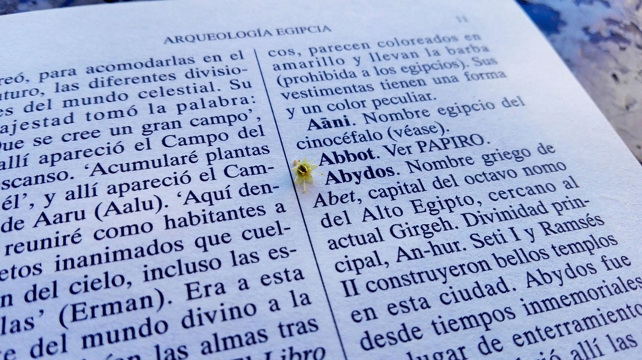 最新原創(chuàng)歌詞的魅力及創(chuàng)作探索探索