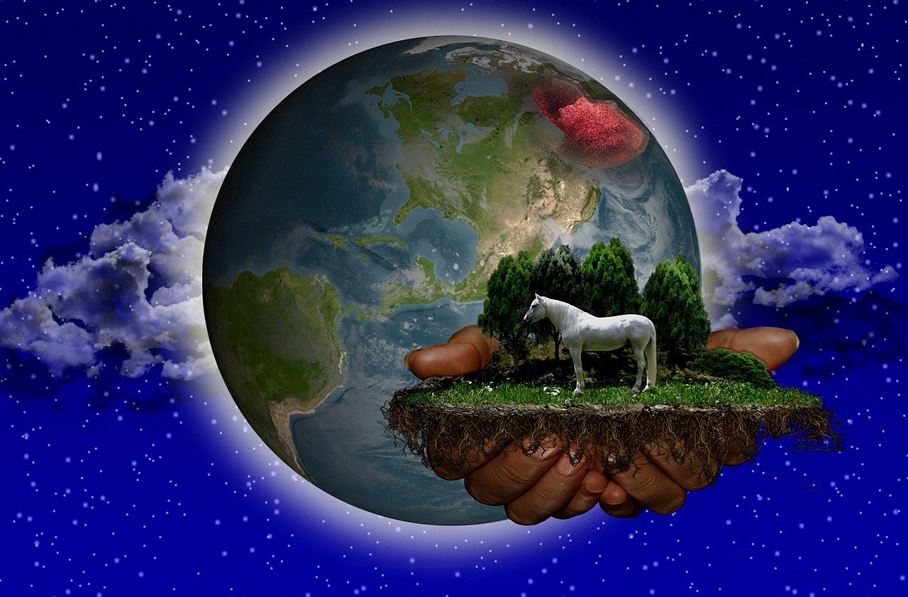 托卡世界完整版最新版，探索虛擬世界的無限魅力