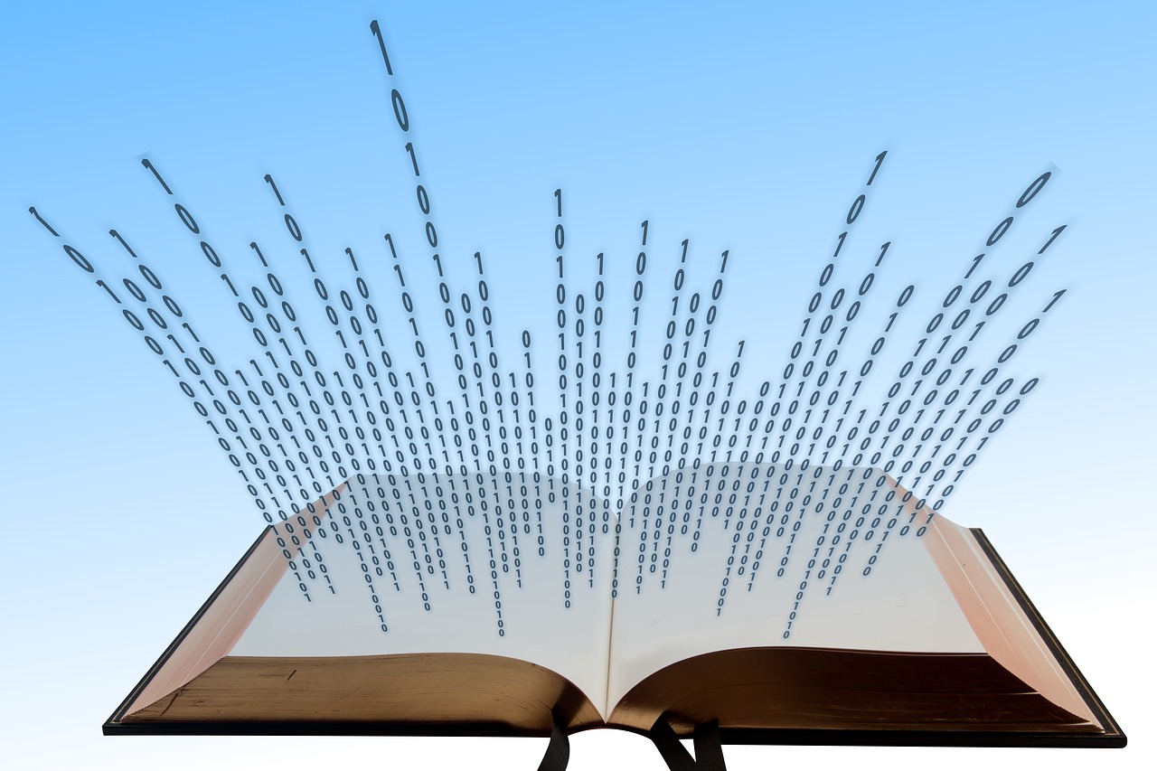 臺鰍價格行情分析（XXXX年深度解讀）