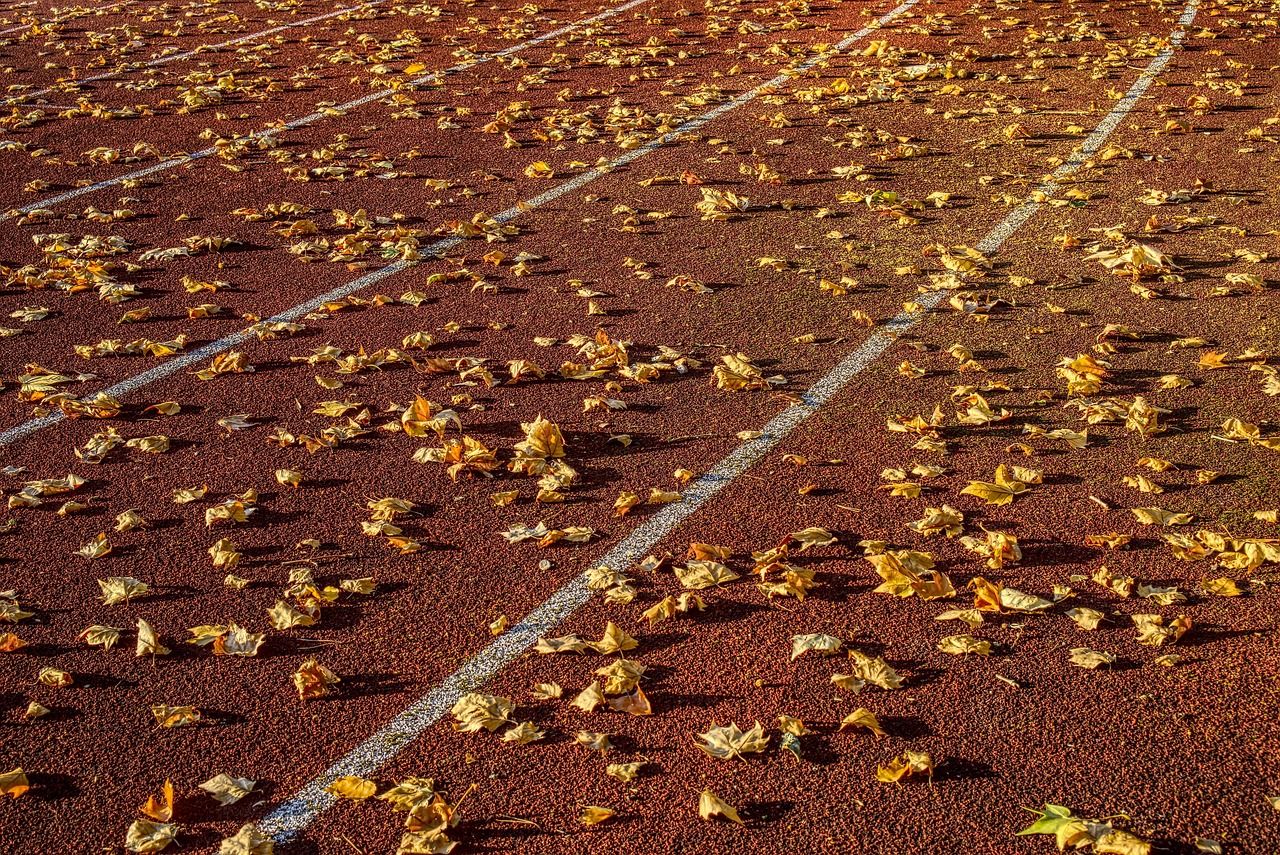 鹽城城南南海蓬勃發(fā)展，最新區(qū)域動態(tài)速遞