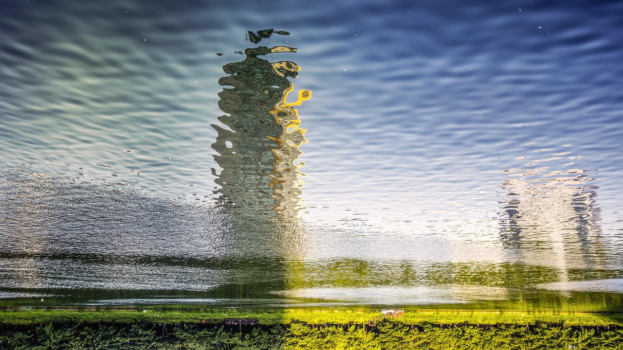 荷美名邸最新價格動態(tài)，市場影響力與市場反應(yīng)分析