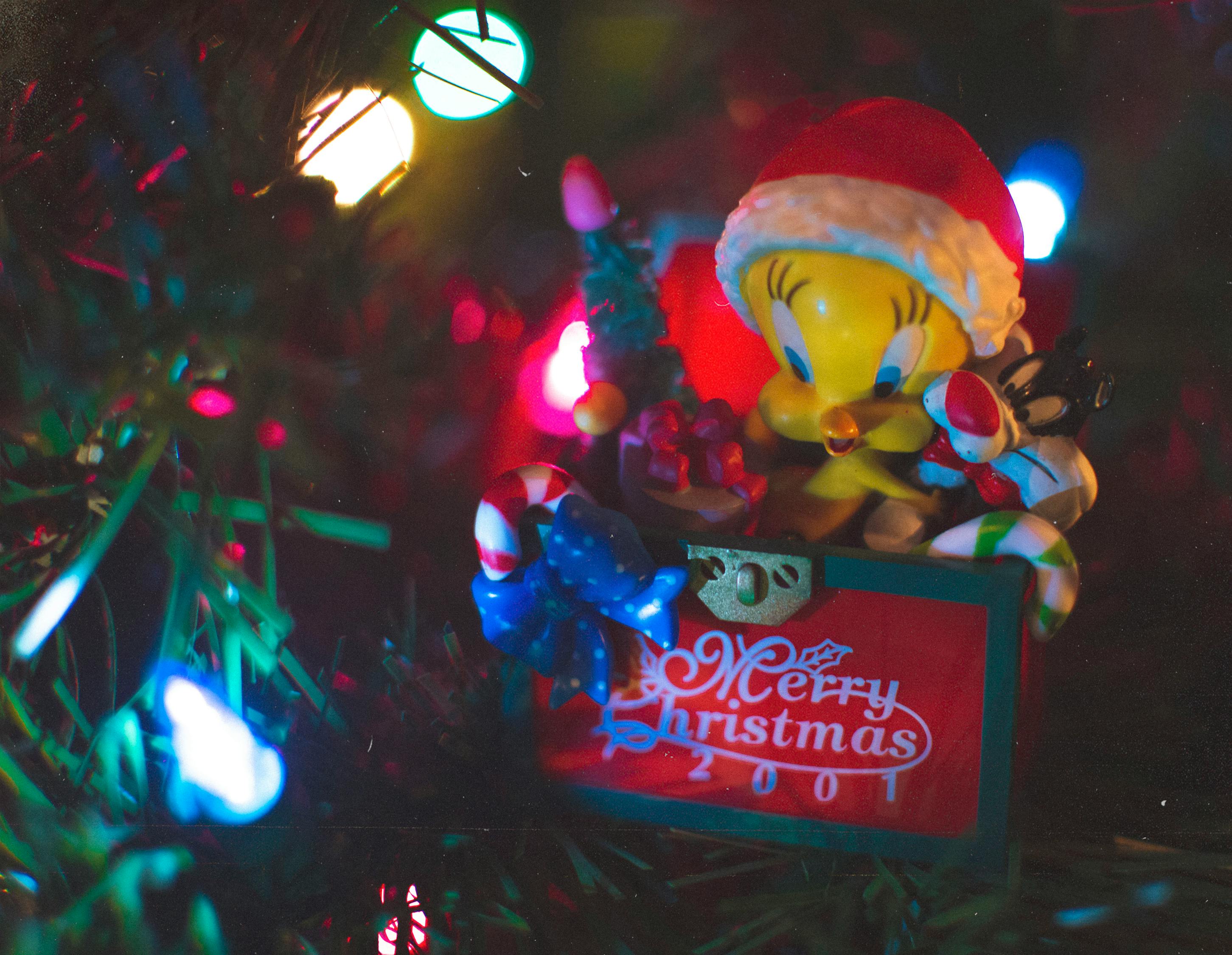 探索璀璨星空魅力的動漫人物之旅