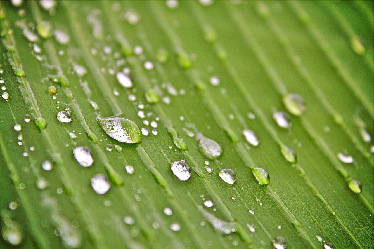 抹茶裙邊 第20頁