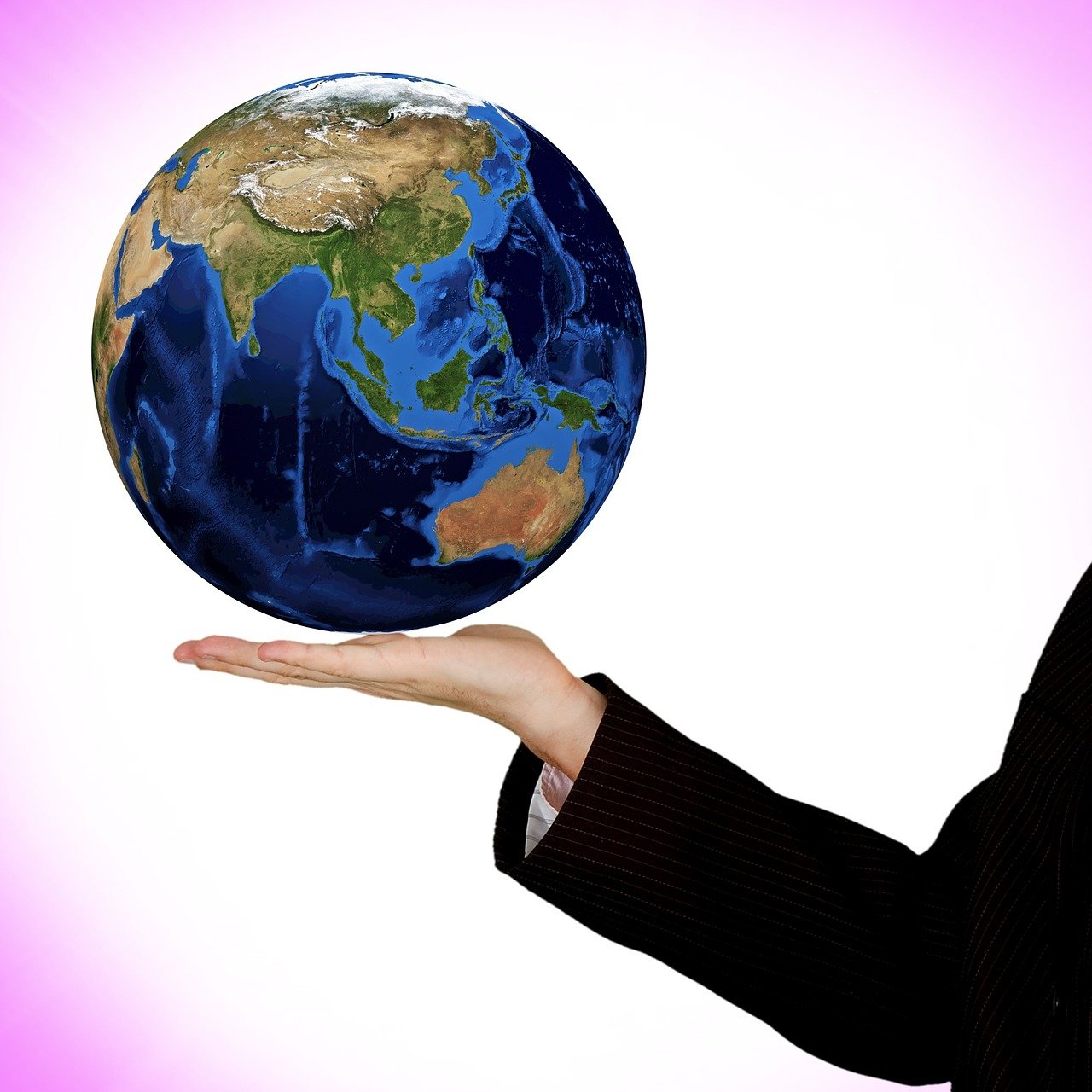 鮑魚價(jià)格走勢(shì)分析，市場(chǎng)趨勢(shì)、影響因素與未來預(yù)測(cè)