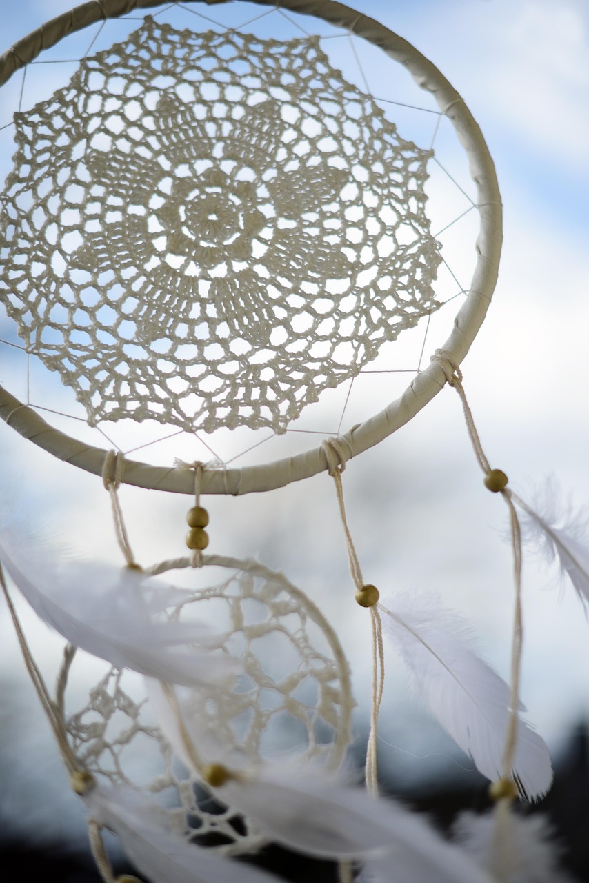 綺夢花，電影中的絢爛綻放與光影之夢交織之美