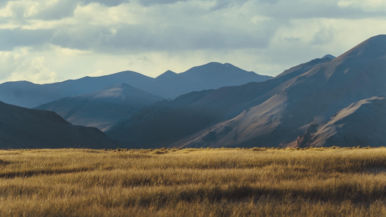 洪江區(qū)公眾信息網(wǎng)資訊更新，重要性、影響力及最新動態(tài)