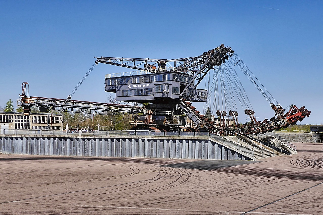 貓九醬最新資訊，探索貓的奇妙世界，分享最新動態(tài)