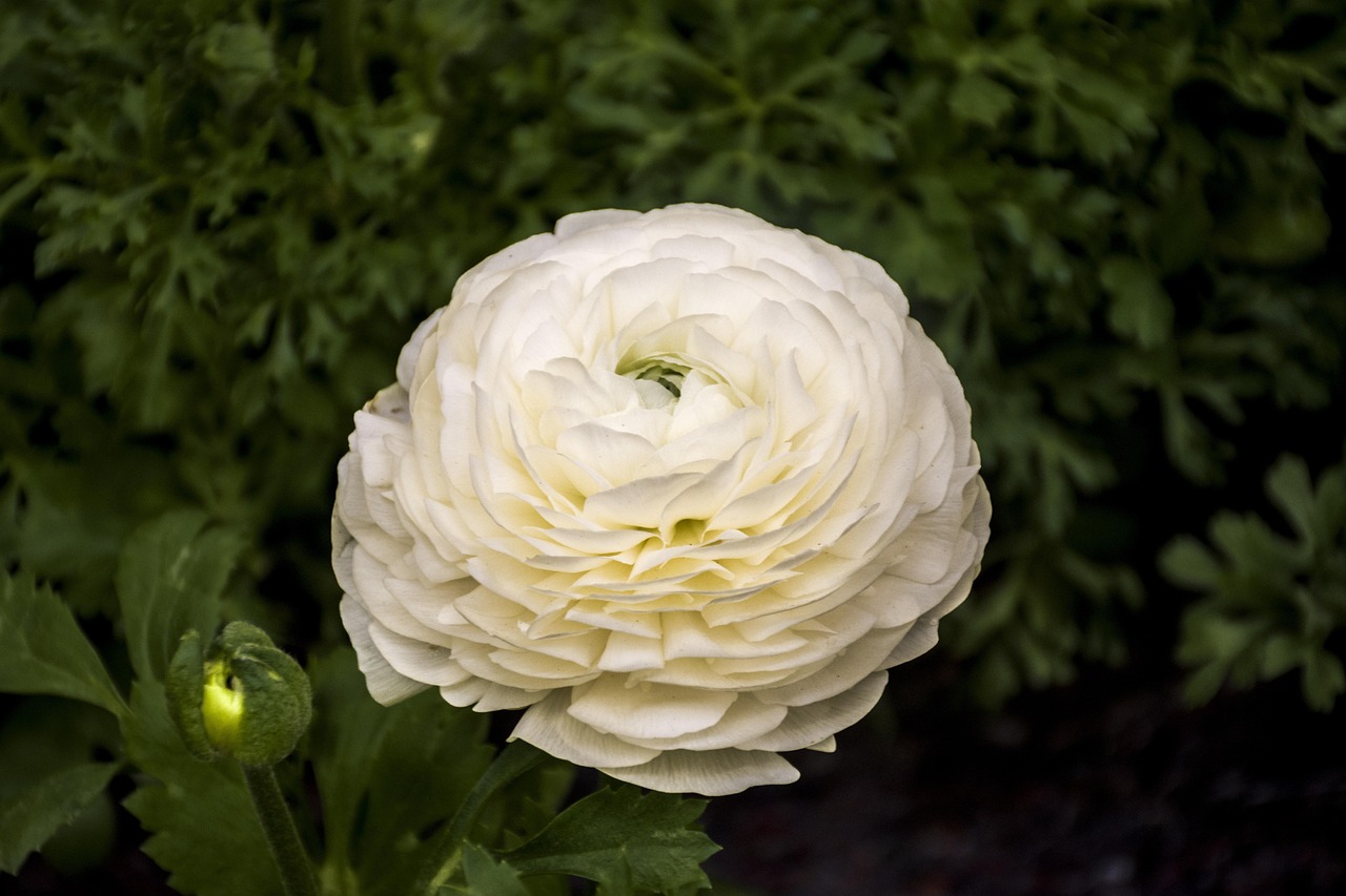 赫山區(qū)人事任免信息詳解及最新動態(tài)分析