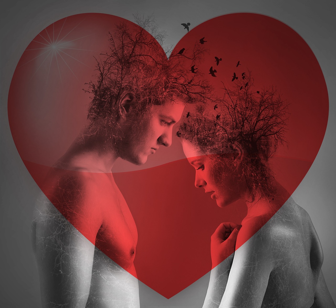 花好月圓之下的電影魅力