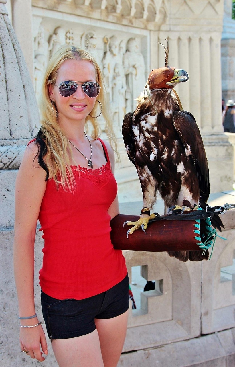 鄭州雁鳴湖鎮(zhèn)最新動(dòng)態(tài)揭秘，生態(tài)宜居城鎮(zhèn)蓬勃發(fā)展之路