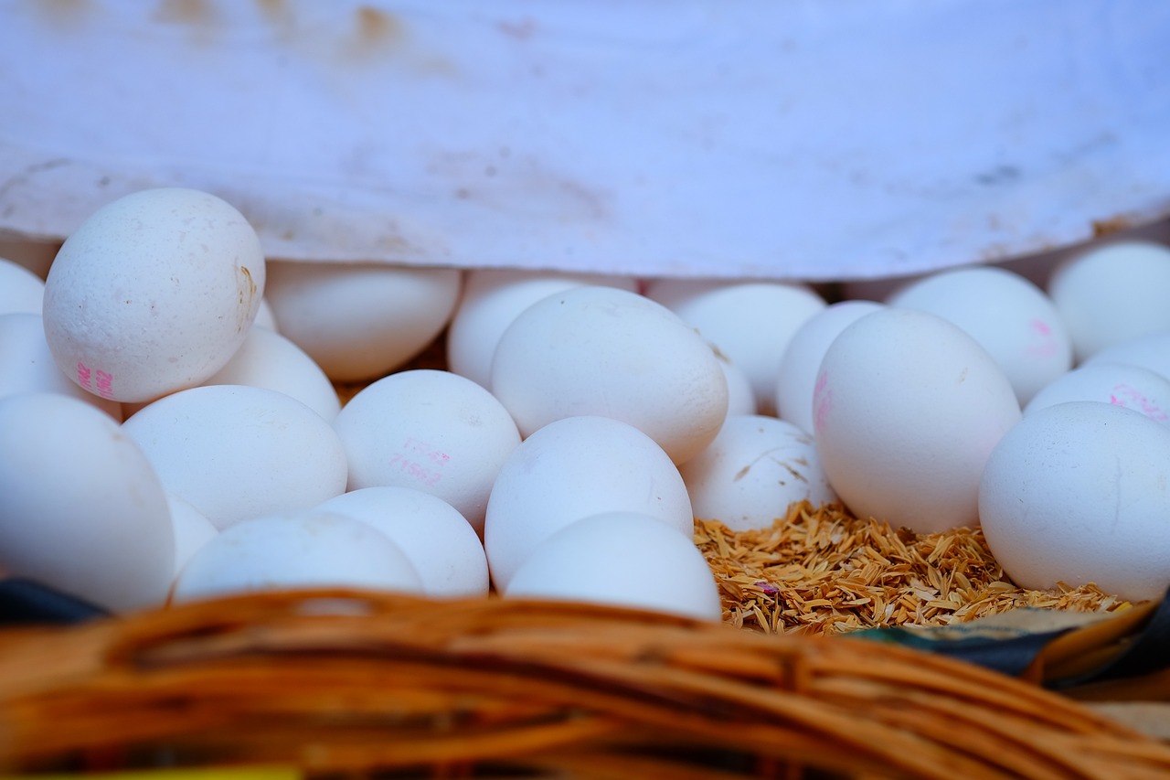 陽春房價最新動態(tài)揭秘，市場趨勢、影響因素與未來展望分析