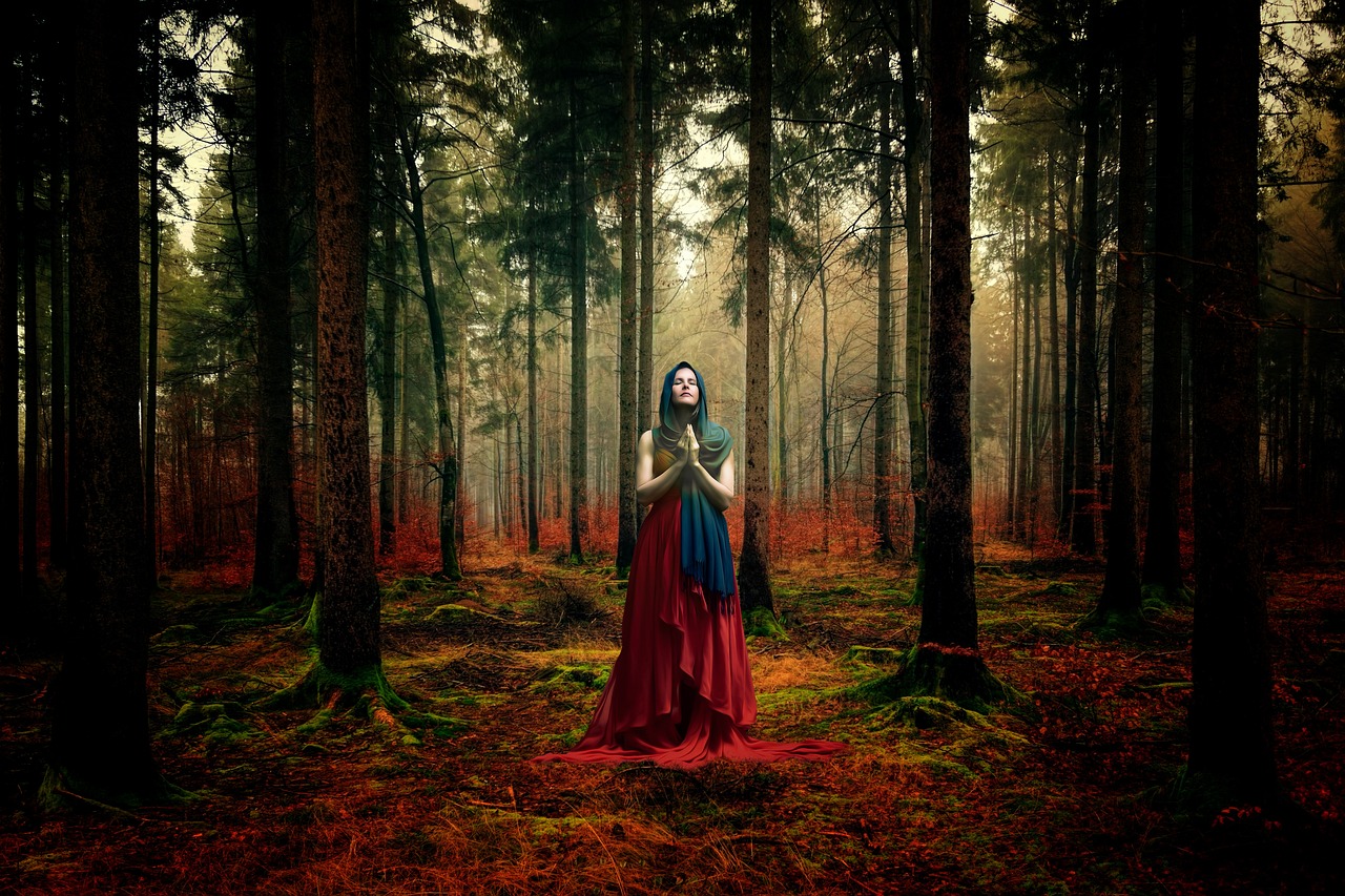 秋日新梗揭曉，探索季節(jié)奧秘與驚喜的旅程