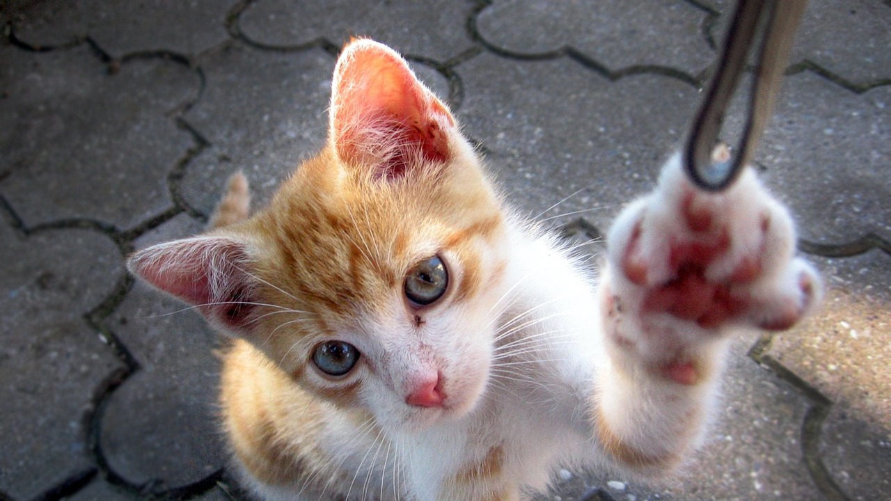 周建琨最新動(dòng)態(tài)，揭開神秘面紗，開啟新篇章