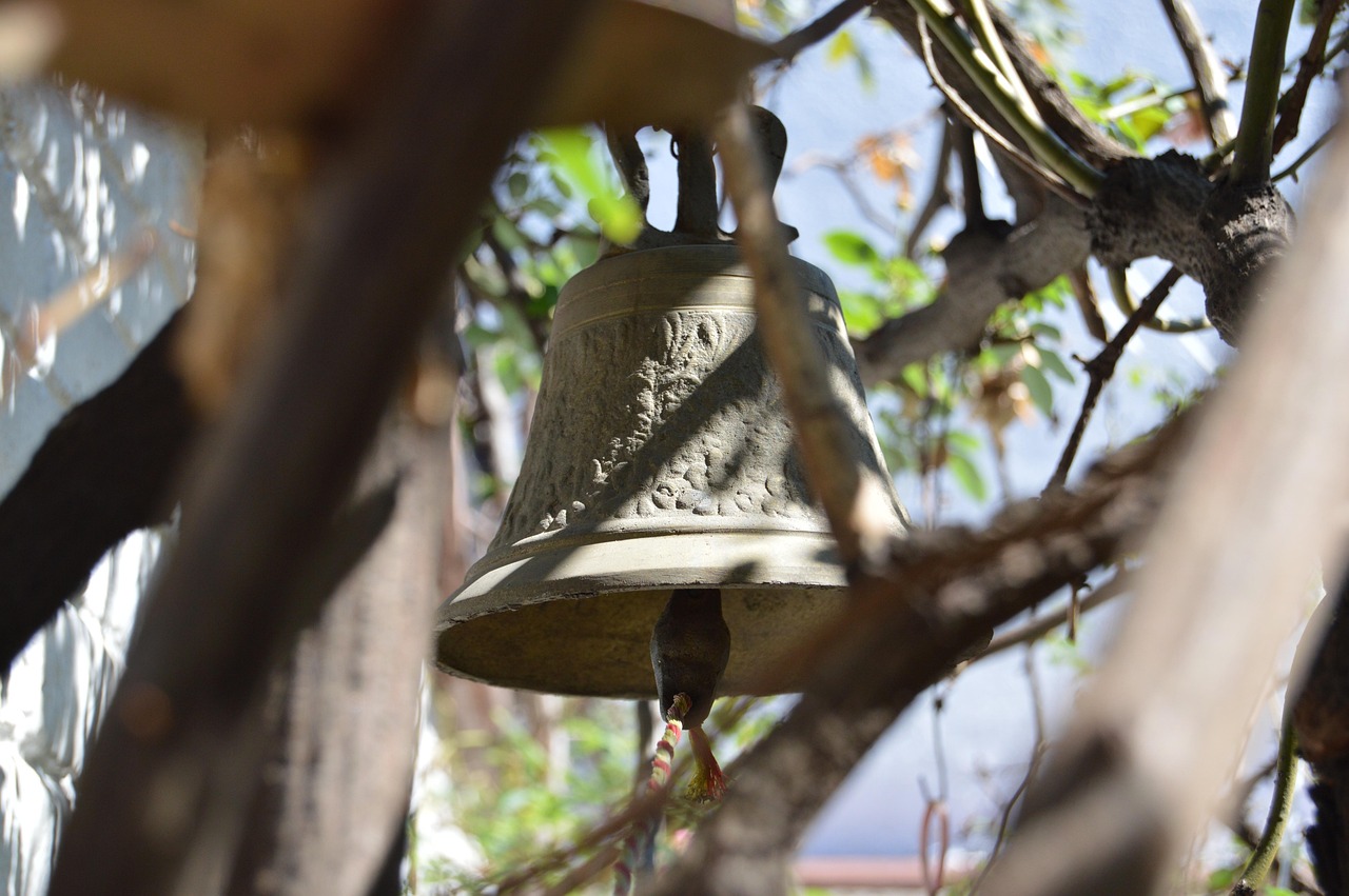 安陽雞蛋價(jià)格動(dòng)態(tài)分析，最新行情與市場(chǎng)趨勢(shì)