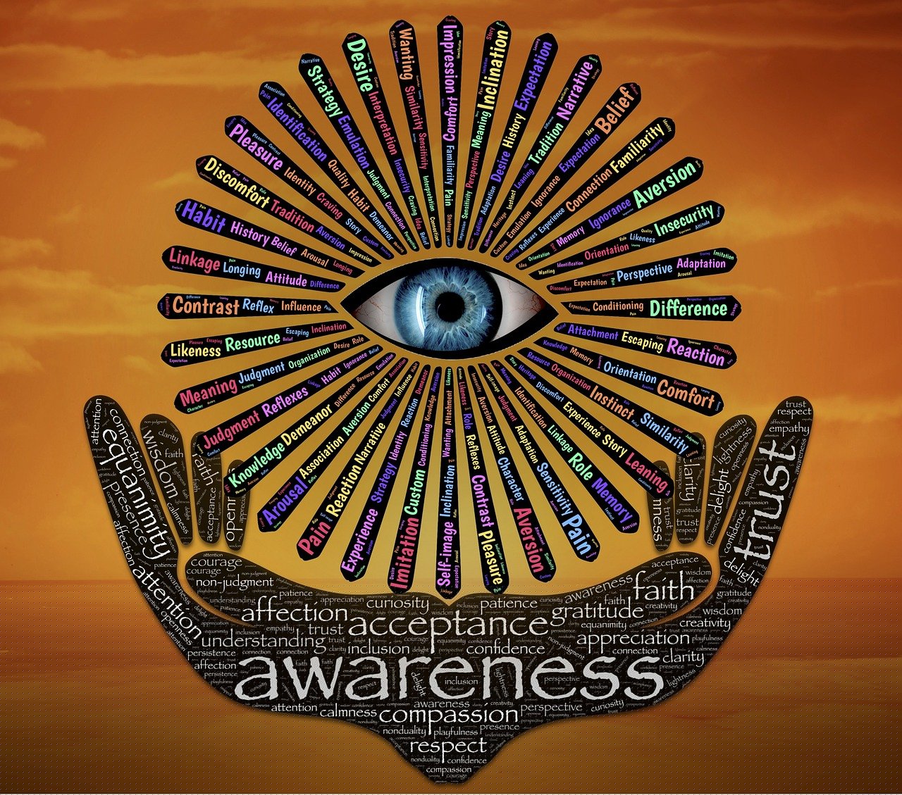 苦瓜網(wǎng)電影倫理片的探索、反思與啟示