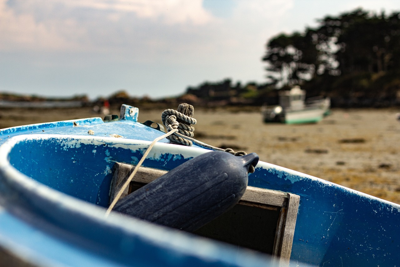 華山最新疫情動態(tài)，全面應對，守護家園安全