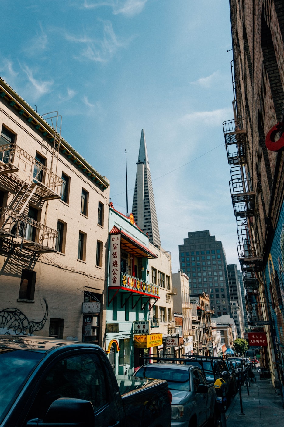 倪虹潔最新動(dòng)態(tài)揭秘，多元領(lǐng)域探索，展現(xiàn)無限魅力與可能