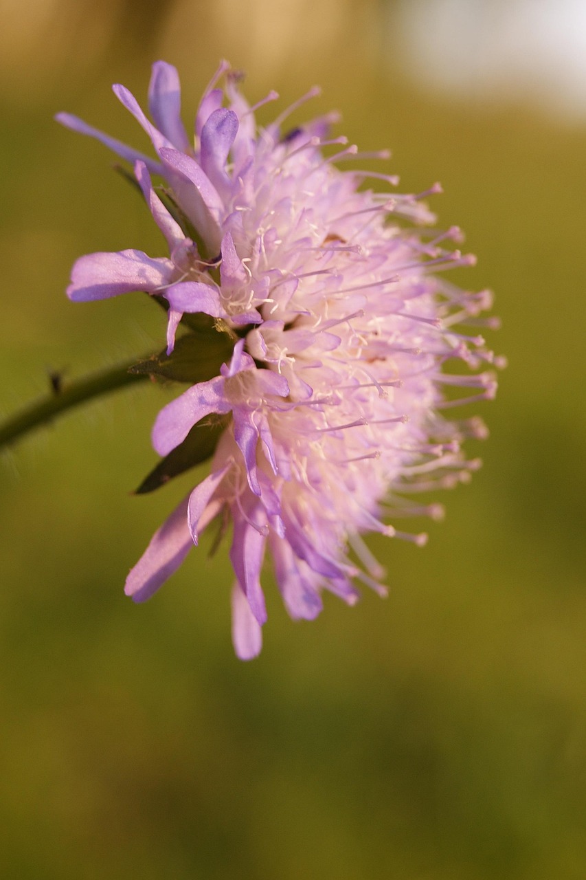 印中深化合作，共同發(fā)展的強勁勢頭最新動態(tài)