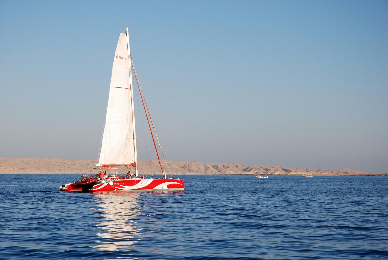 歸航電視劇，心靈深處的探索之旅