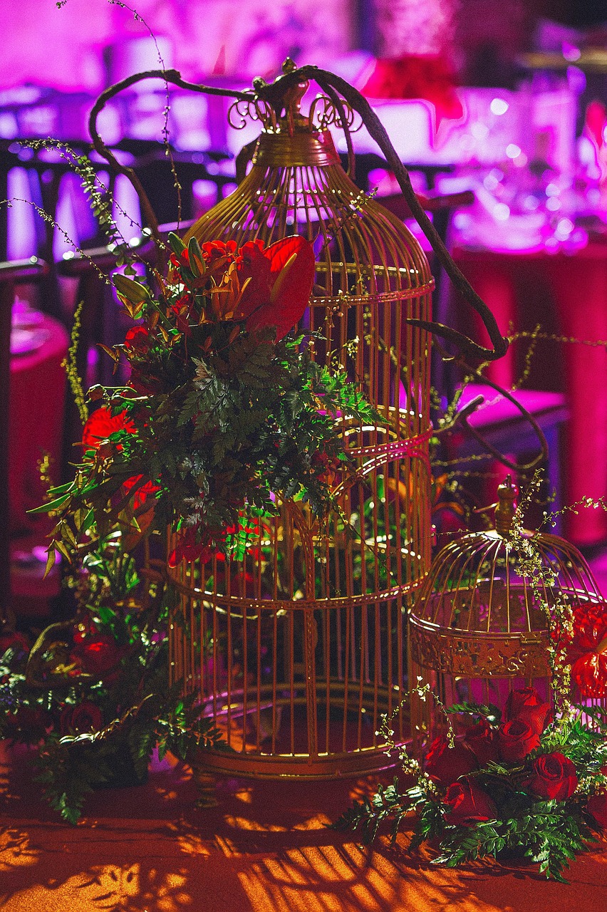 鬧婚新風(fēng)尚，重塑婚禮文化和諧與趣味之旅