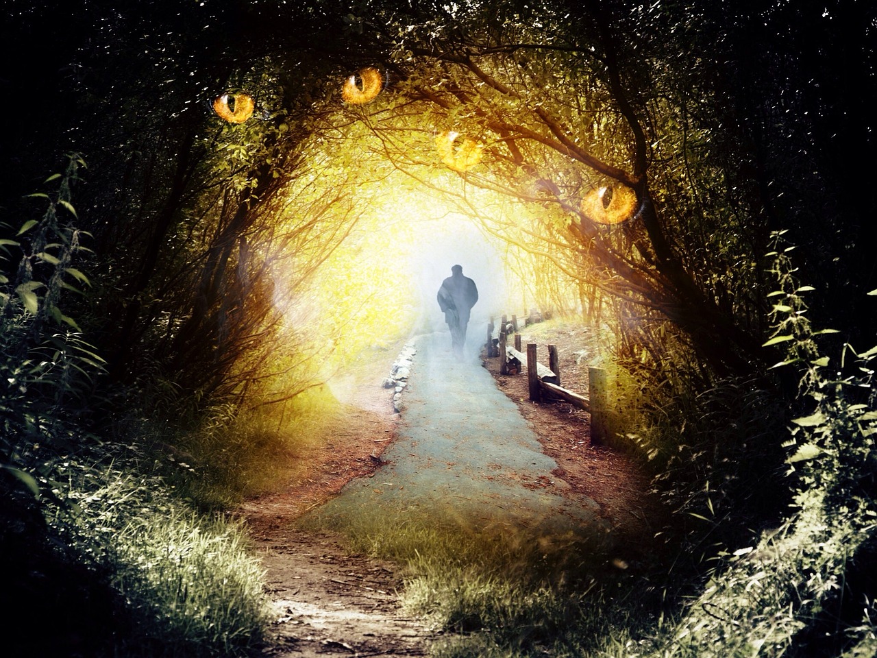 種鬼演員，探尋神秘角色背后的藝術(shù)魅力之旅