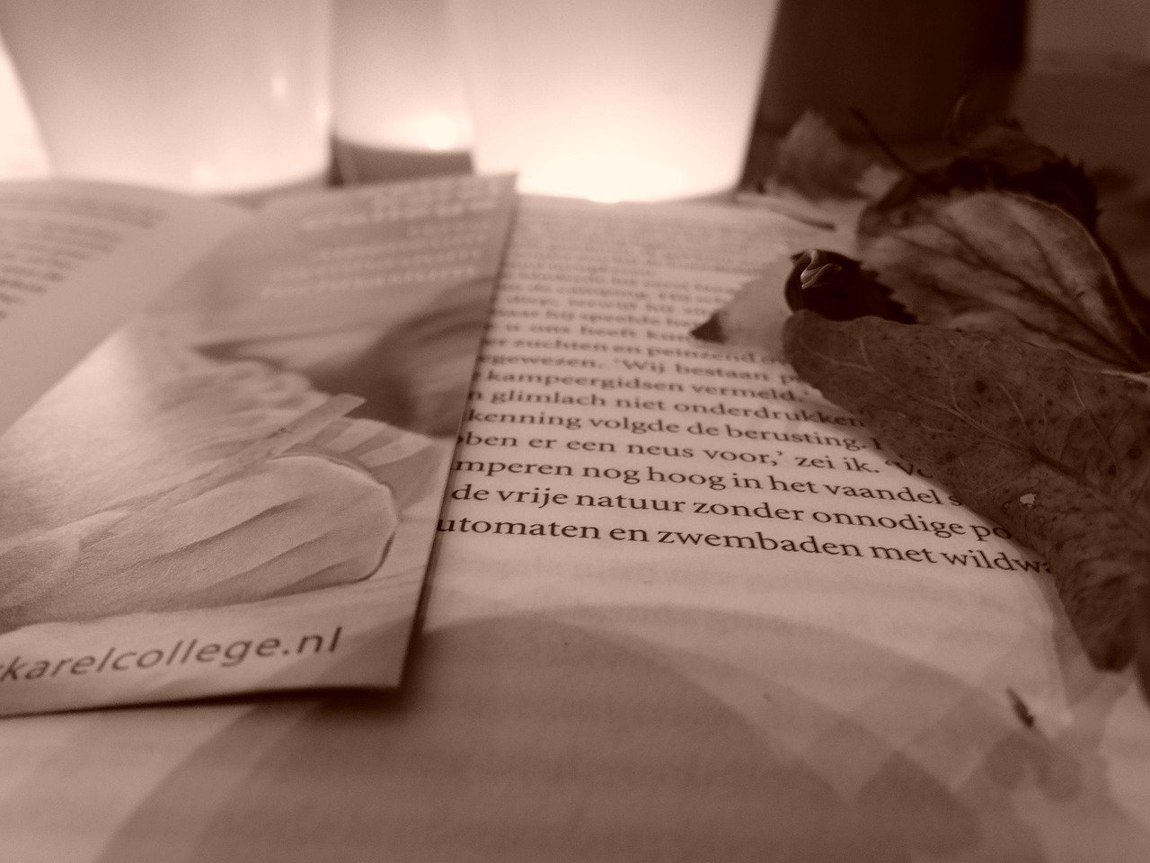 最新小說2017，探索文學(xué)的新疆界