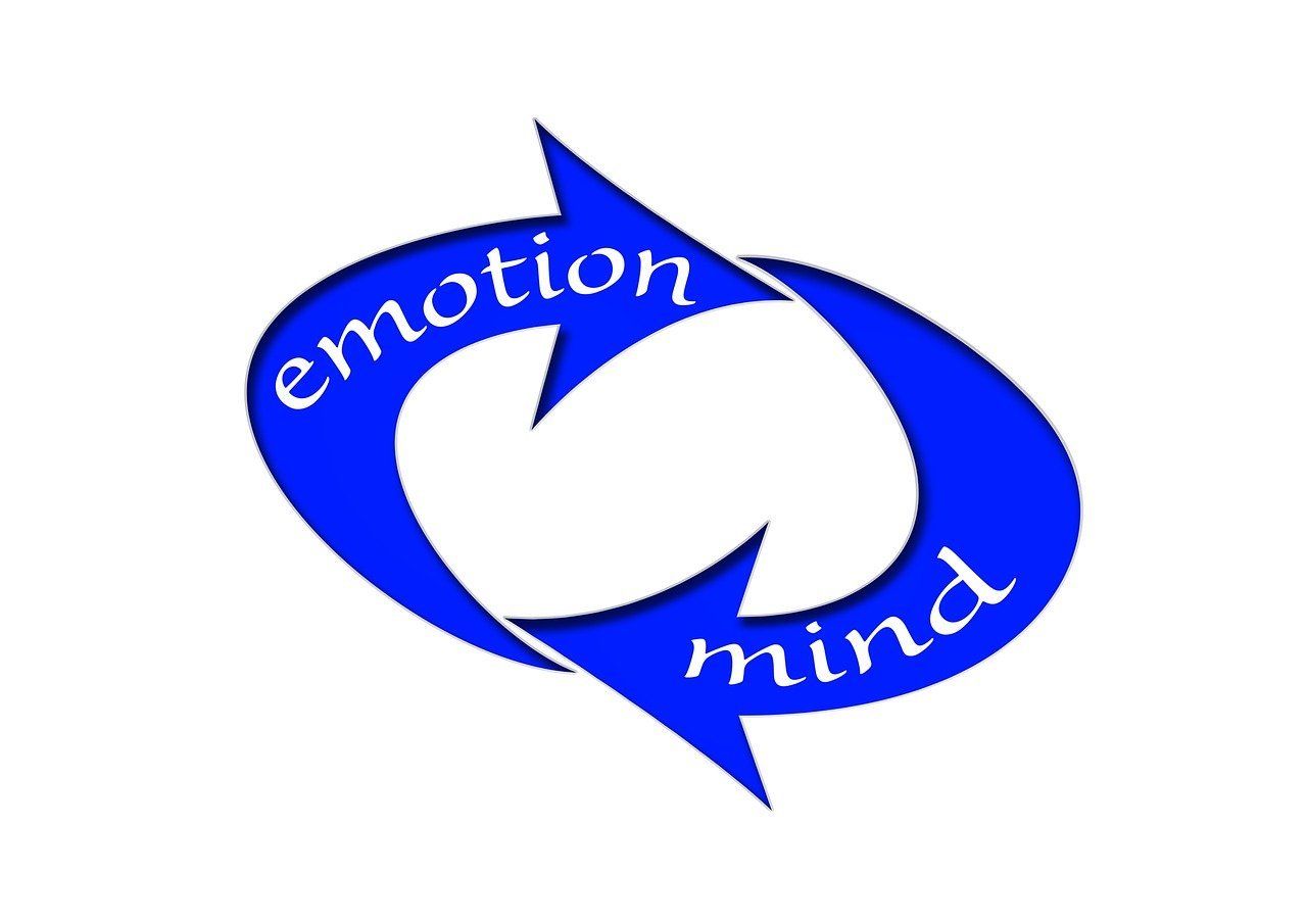 迪比科上市，探索企業(yè)成長之路，迎接資本市場新機遇