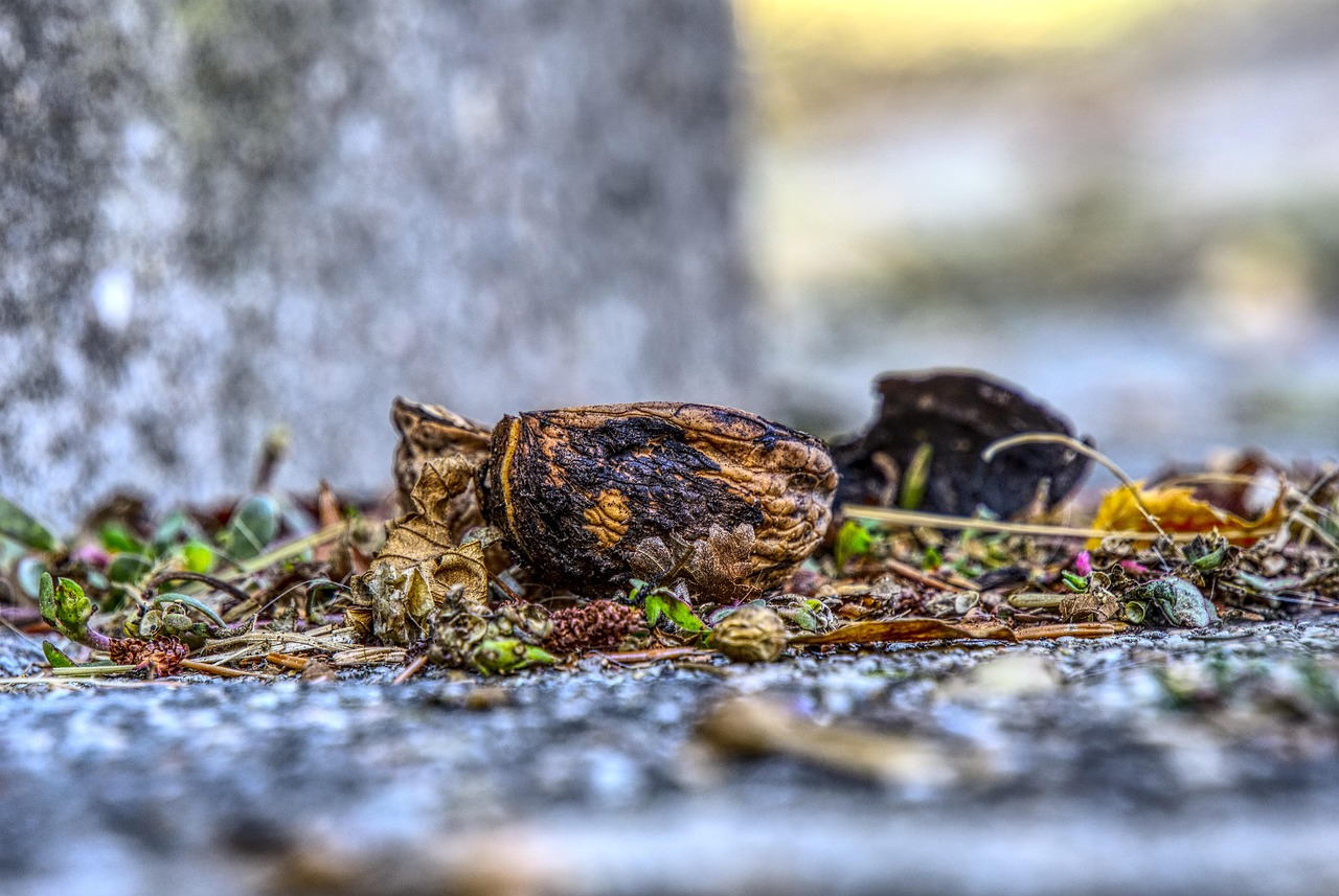 萬達(dá)大亞灣引領(lǐng)區(qū)域發(fā)展新篇章，最新動(dòng)態(tài)揭秘