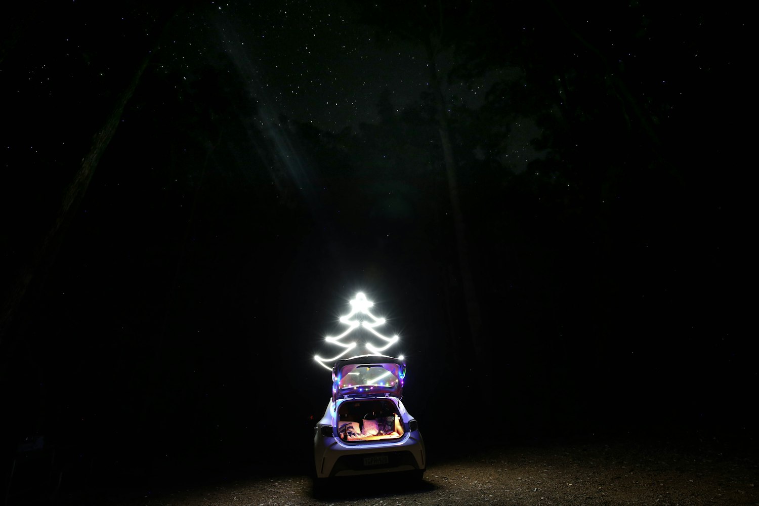 沈丹萍最新動態(tài)，藝術(shù)之光的璀璨綻放