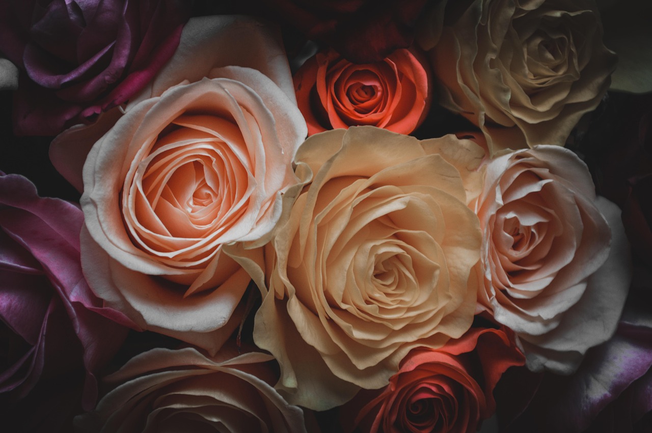 動漫雨景，情感與故事的交織圖片欣賞