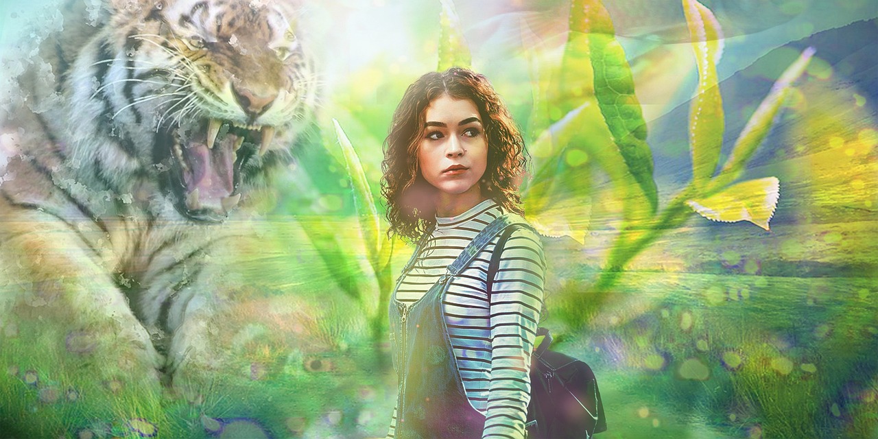 探索電影魅力，銀幕背后的故事之書