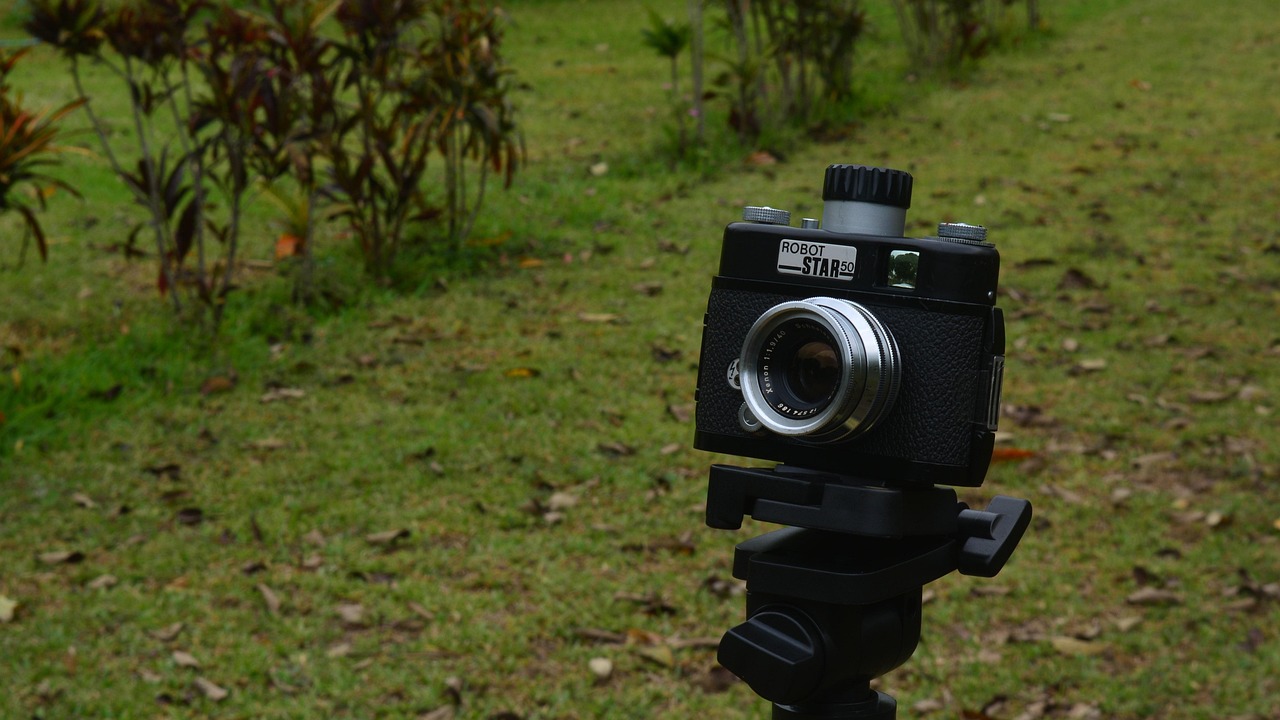 峨眉之星探索與發(fā)展，最新動態(tài)揭示壯麗篇章