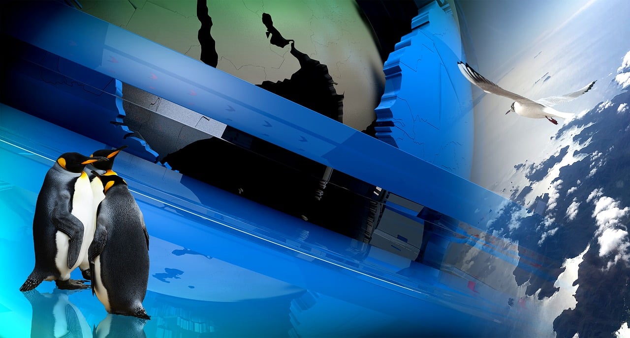 最新電影大全，探索電影的魅力世界