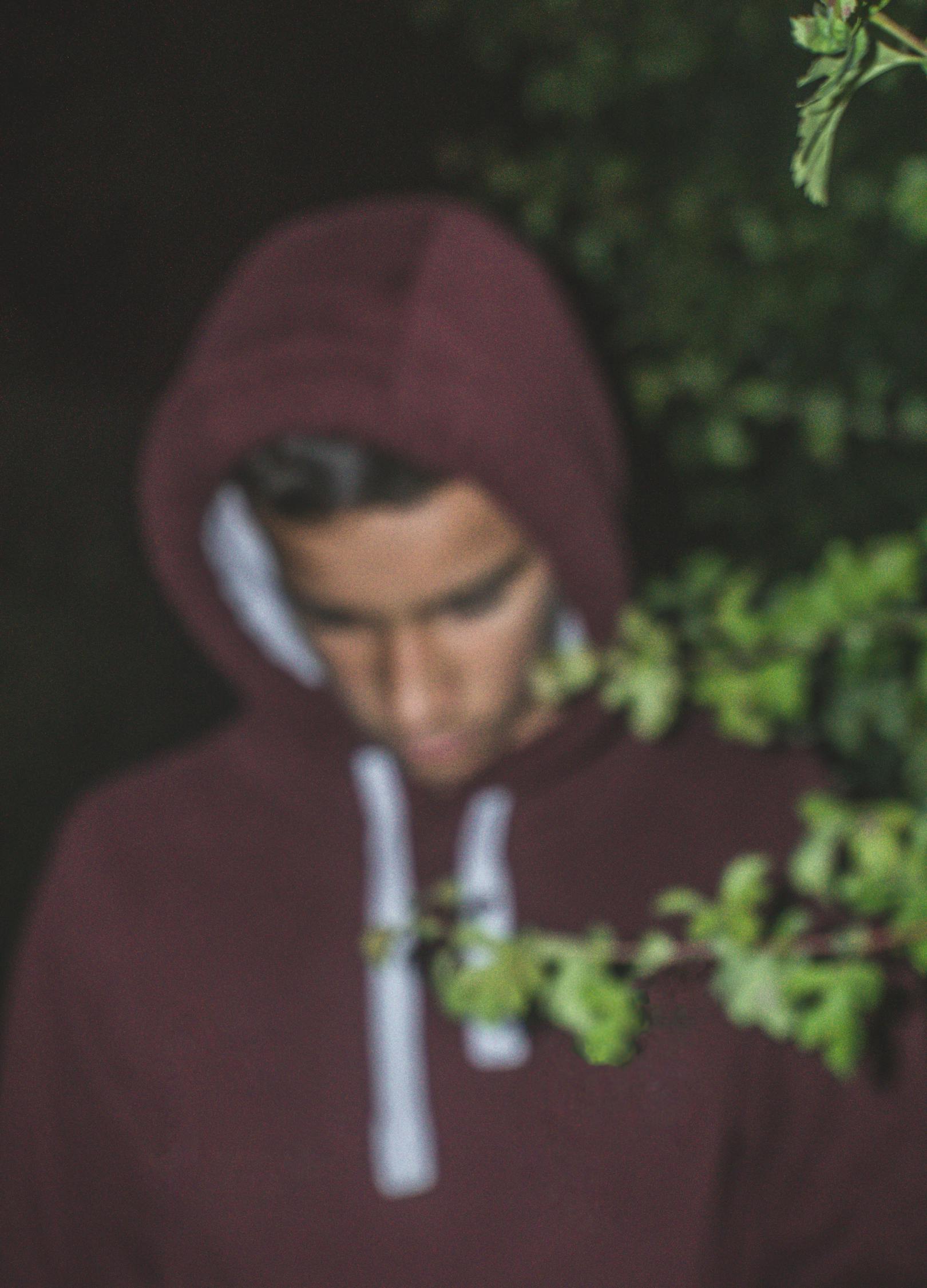 探索銀幕上的情感世界，易易親電影之旅