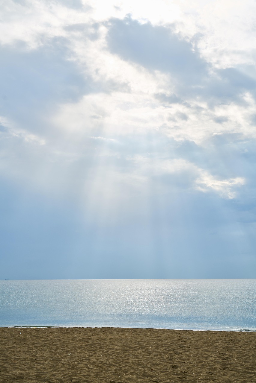 張杰2017最新動態(tài)，音樂之旅開啟全新篇章