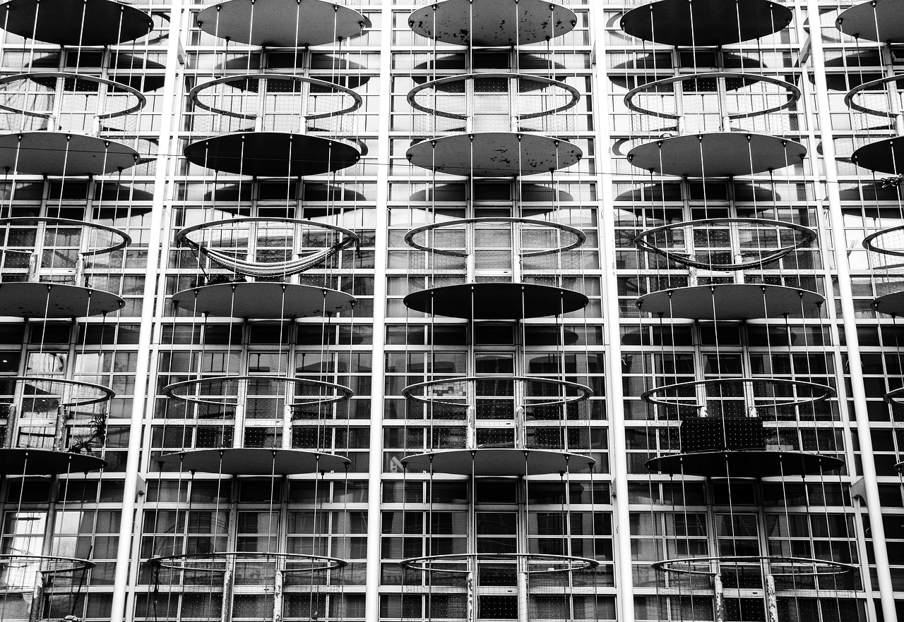 木竹果價(jià)格行情詳解，最新分析與趨勢(shì)預(yù)測(cè)