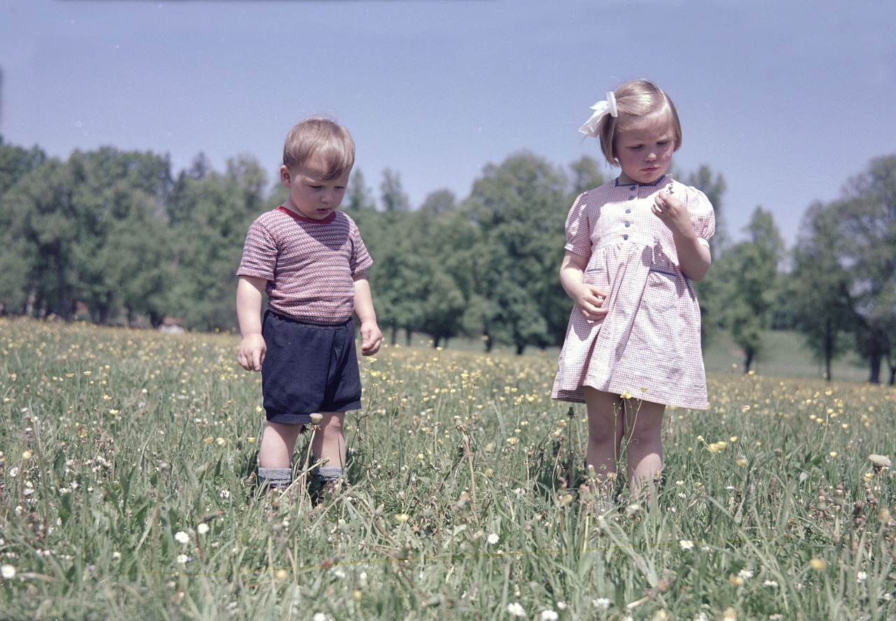全家福動漫圖片，溫馨記憶與創(chuàng)意表達(dá)的美好瞬間