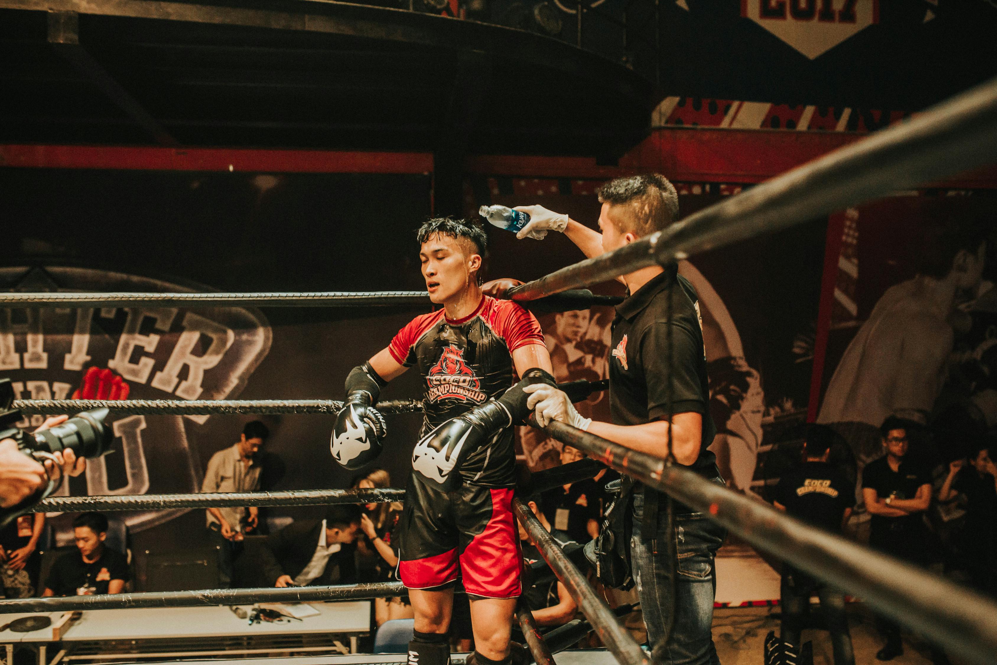 王牌戰(zhàn)爭全新版本，革命性的游戲體驗上線！