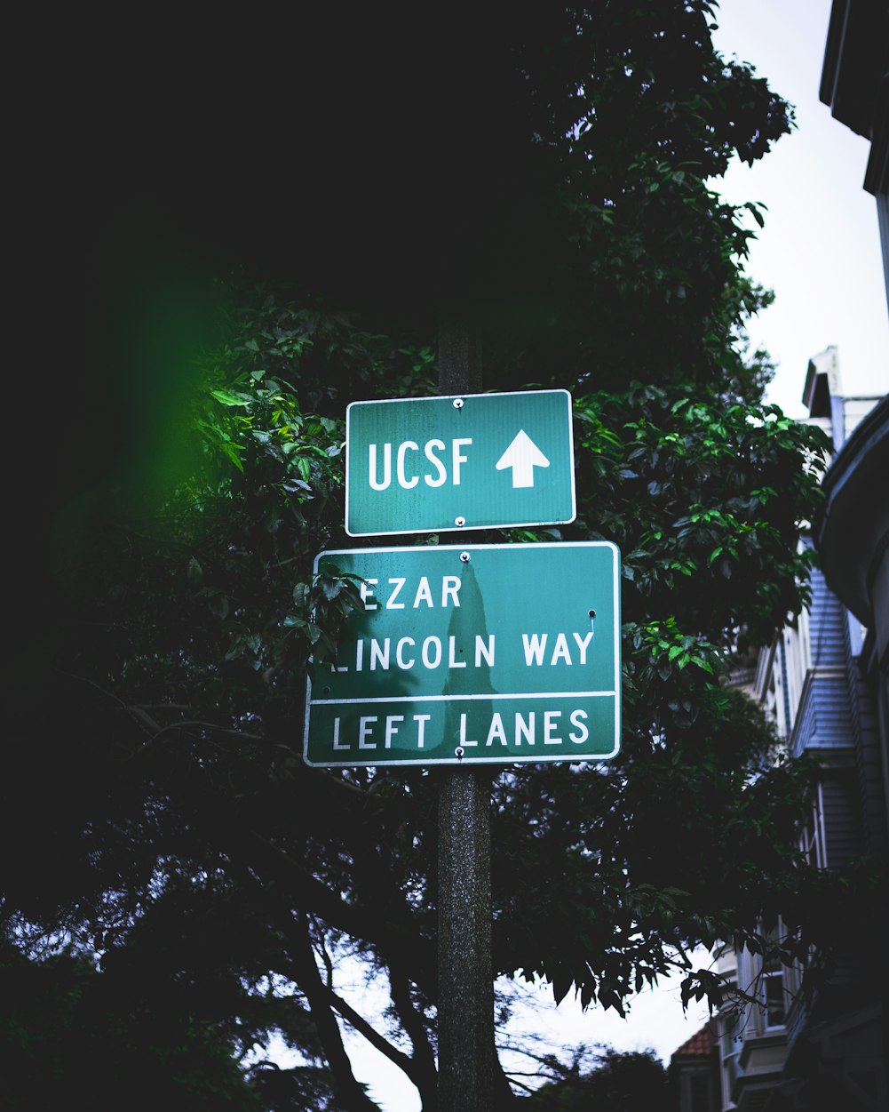 華大基因行情，探索生物科技新紀(jì)元之路