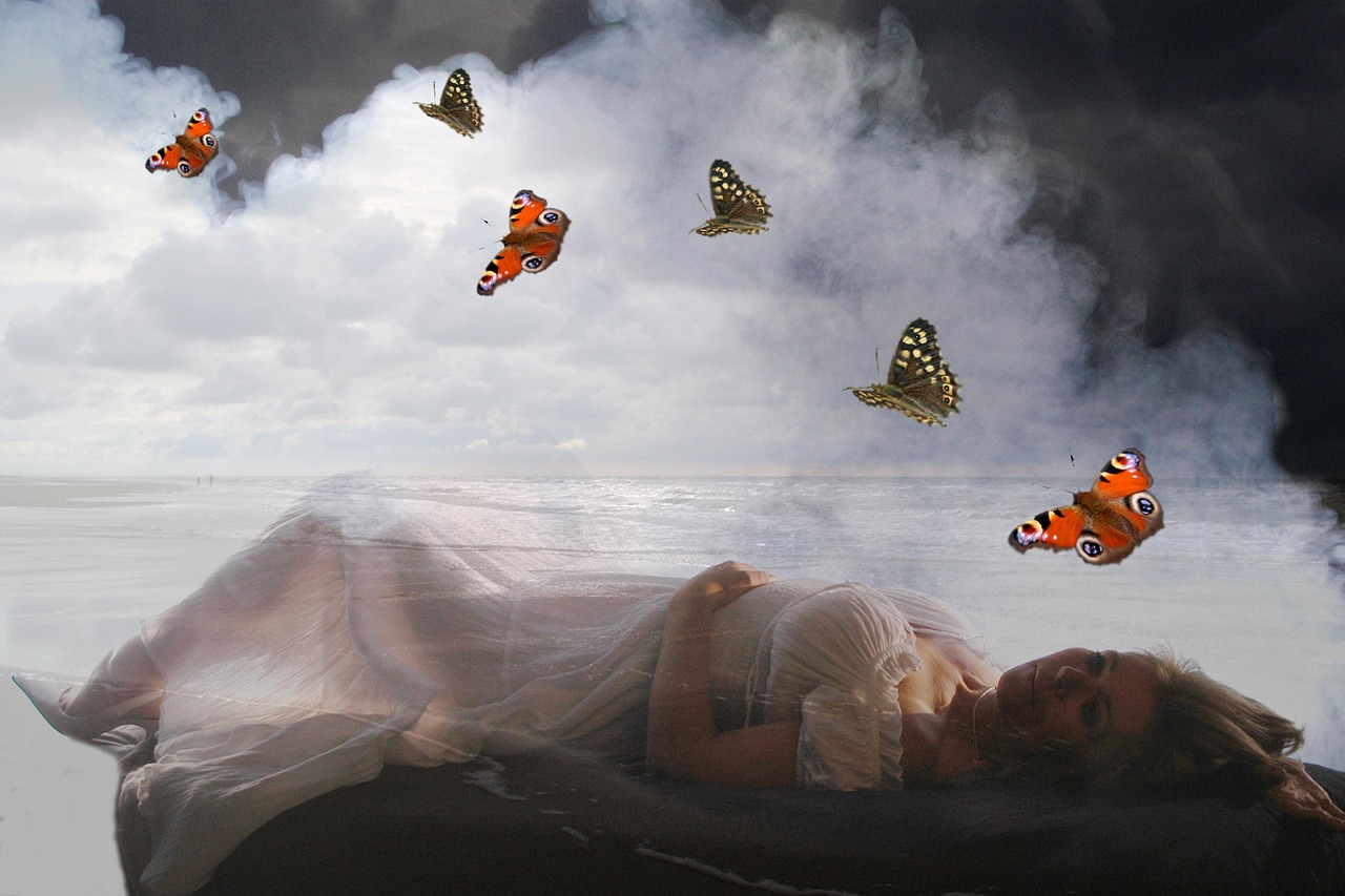 九鷺非香最新作品揭秘，奇幻與現(xiàn)實(shí)的完美交融之旅