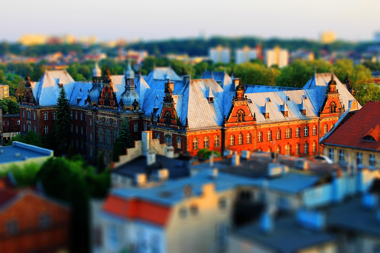 花旗參價格概覽及市場趨勢分析，價格表與市場動態(tài)解析