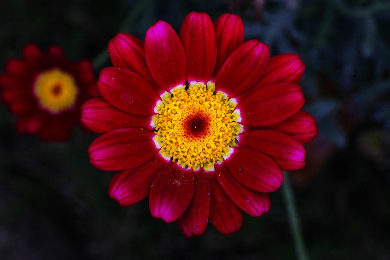 最新秒批資訊速遞，掌握時事動態(tài)，資訊更新無延遲