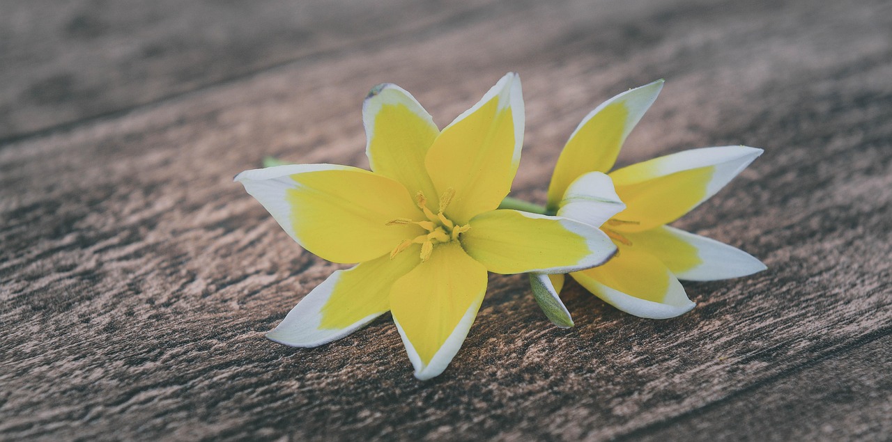 長(zhǎng)樂最新資訊概覽，最新動(dòng)態(tài)一網(wǎng)打盡